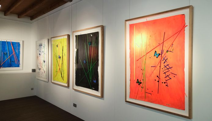 Kunstenaar David Debusseré stelt tentoon in galerij Reichmanns: “Ik maak ‘gelukkige kunst’.”