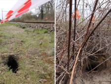 ProRail start met uitgraven dassenburcht onder het spoor bij Esch: ‘De kraamburcht laten we met rust’