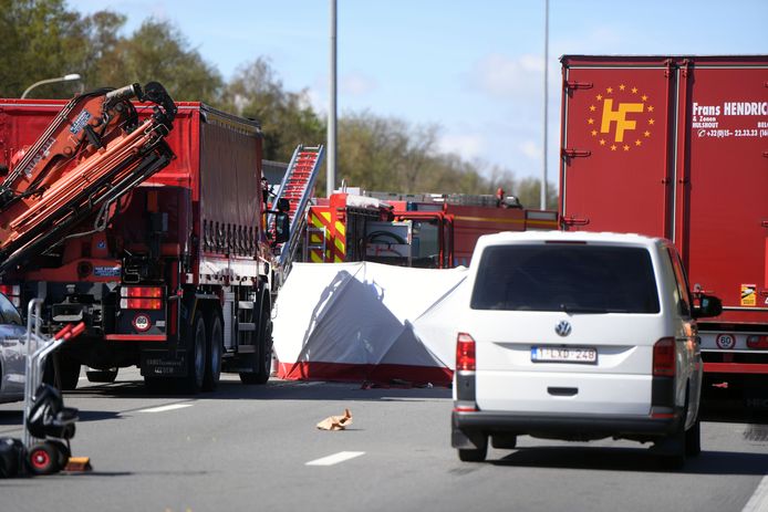 Vrachtwagenchauffeur overleden bij zwaar ongeval op E40 in Everberg