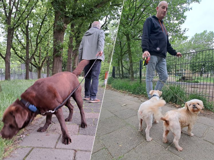 Oosterhout zet poepzuiger aan de kant en heft de hondenuitlaatplaatsen op: ‘Waardeloos, jammer’
