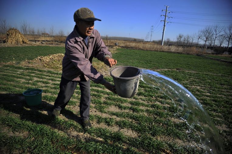 Een Chinese boer geeft zijn droge land water Beeld epa