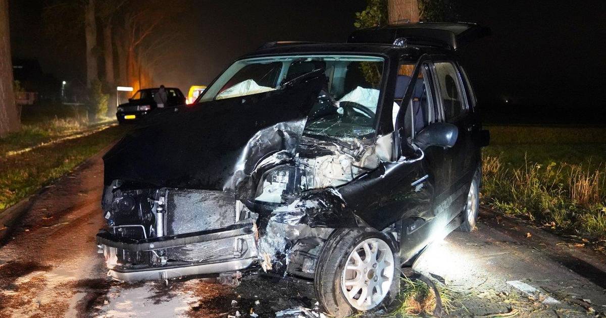 Auto botst tegen boom in Nuland als bestuurder uitwijkt voor dier | 112 nieuws Den Bosch