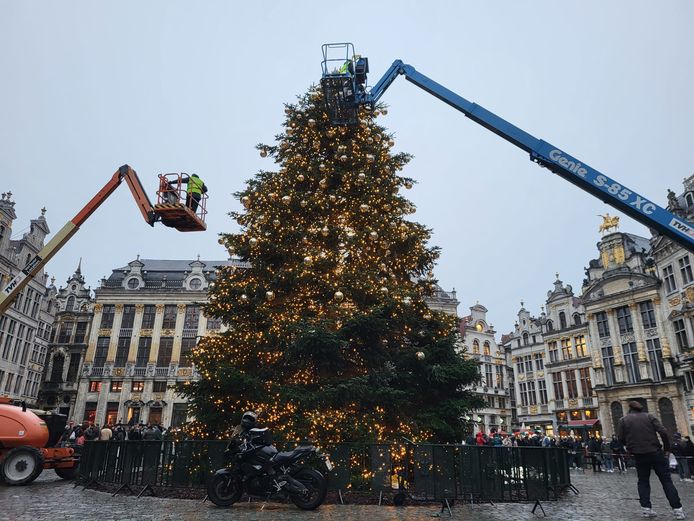 struik maandelijks Democratie Kerstboom op Grote Markt bijna versierd na drie dagen: “600 kerstballen  hang je niet zomaar even omhoog” | Brussel | hln.be
