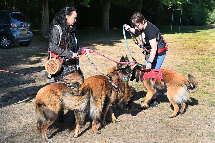 The Walk of the Dogs in Escharen.