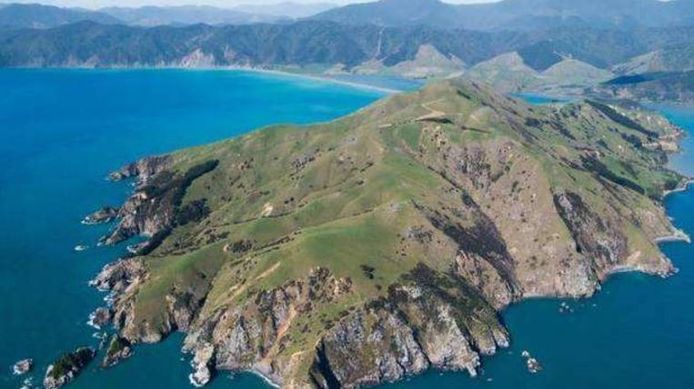 Pepin Island voor de kust van het Zuidereiland van Nieuw-Zeeland.