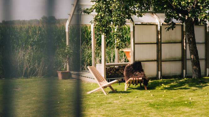 Kom tot rust tussen groen en design, of maak zelf iets moois met afdankertjes. 5 tips voor een creatief weekend 