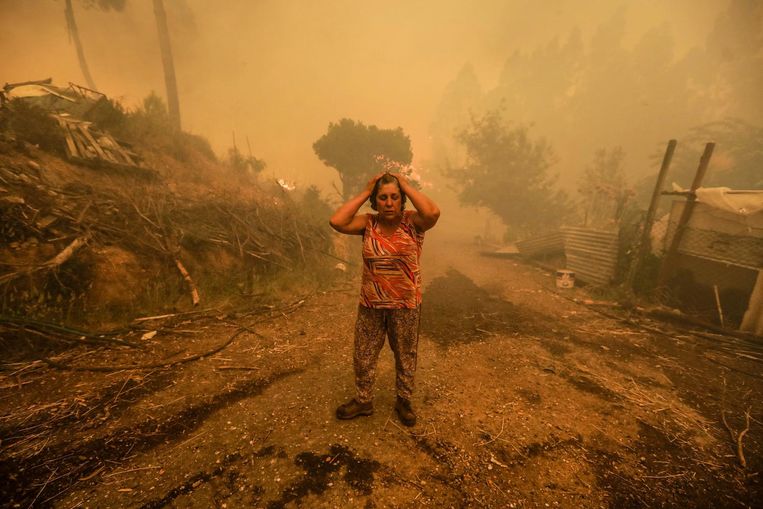Bosbranden in Portugal. Beeld EPA
