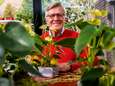 Piet (76) uit Berkel en Rodenrijs verzorgt bloemen voor toespraak van de paus: ‘Dit is een eer’