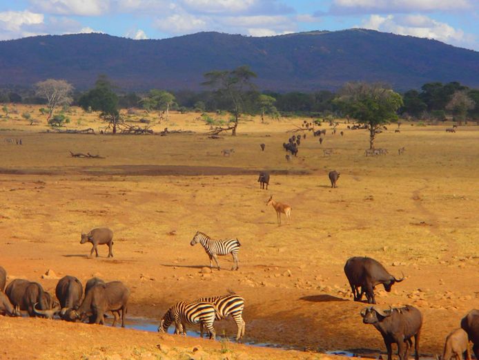 Patrick Kilonzo Mwalua Facebook