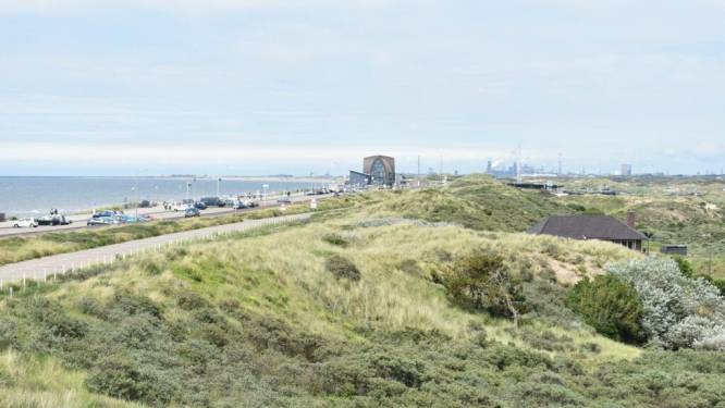 Lekker uitwaaien met je hond op het strand van Bloemendaal en Zandvoort: dit moet je weten