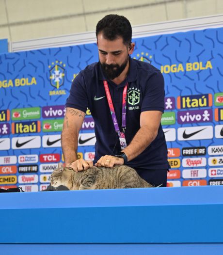 Kat bezoekt persconferentie Brazilië en wordt hardhandig weggewerkt door perschef