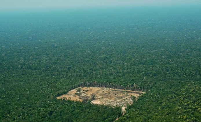 Een archieffoto van 22 september 2017 toont de ontbossing van het westelijke Amazonegebied.