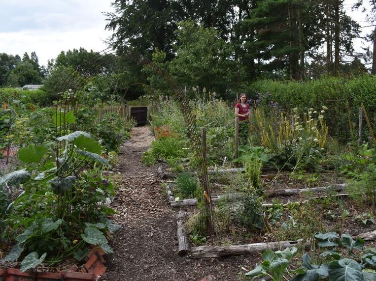 Marleen heeft een klimaatbestendige tuin &quot;Alleen maar voordelen