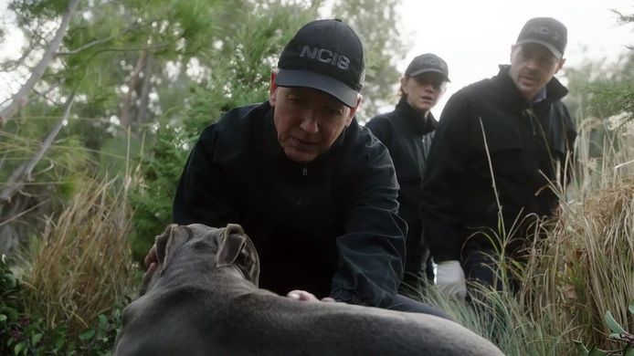 NCIS.