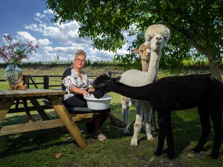 Het is ‘Maand van de ontmoeting’ in Heumen, maar niemand heeft er zin in