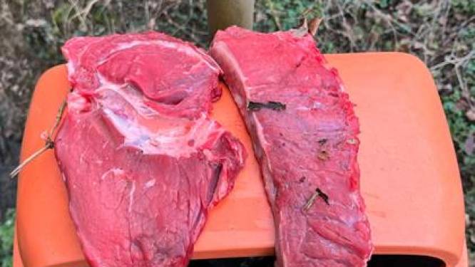 Politie en Natuurpunt Herent waarschuwen voor mogelijk vergiftigd vlees aan Kastanjebos: “Levensgevaarlijk voor honden”