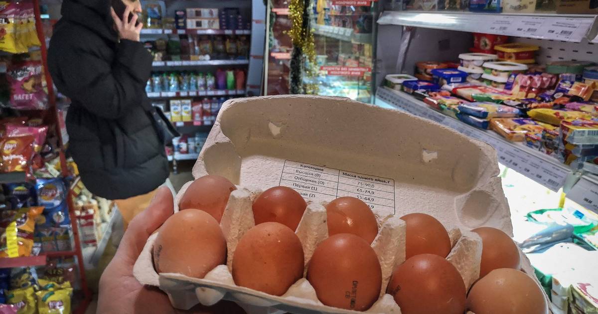 Il “re delle uova” russo sopravvive al tentativo di omicidio: le uova sono ora così costose che vengono regalate a Natale |  Guerra Ucraina-Russia