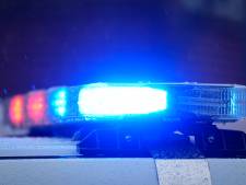 Dronken bestuurder wisselt van plek met hond om onder arrestatie uit te komen