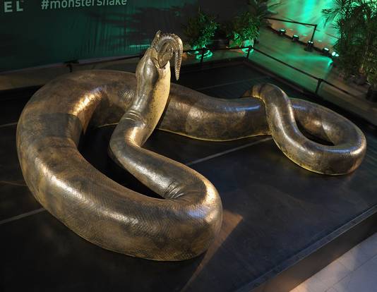 De grootste ooit levende slang.