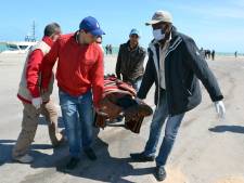 Italië: Europa kijkt weg bij systematische afslachting