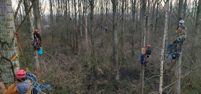 De actievoerders zijn 's nachts de bomen ingeklommen. ,,En daar gaan ze niet uit”, zegt een woordvoerster.