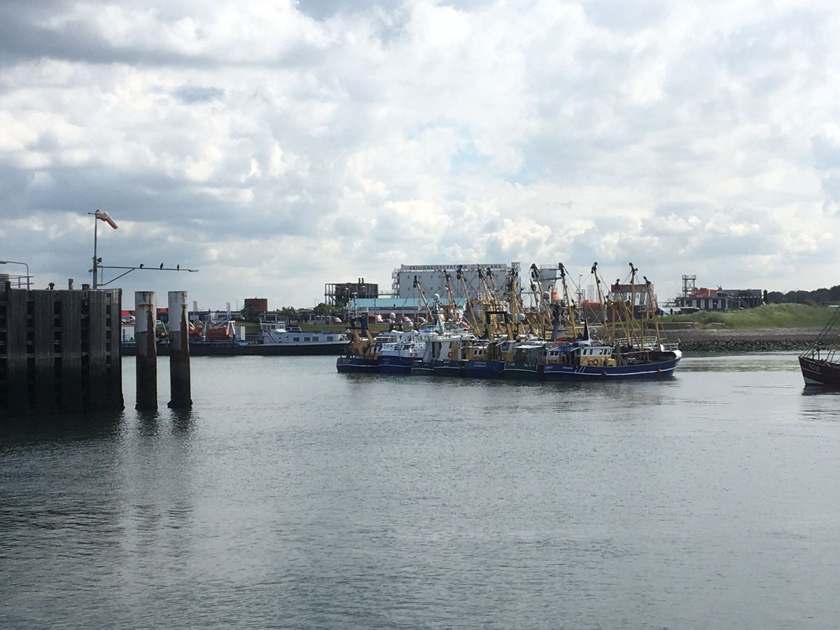 Vissersschepen blokkeren de Vlissingse Buitenhaven.