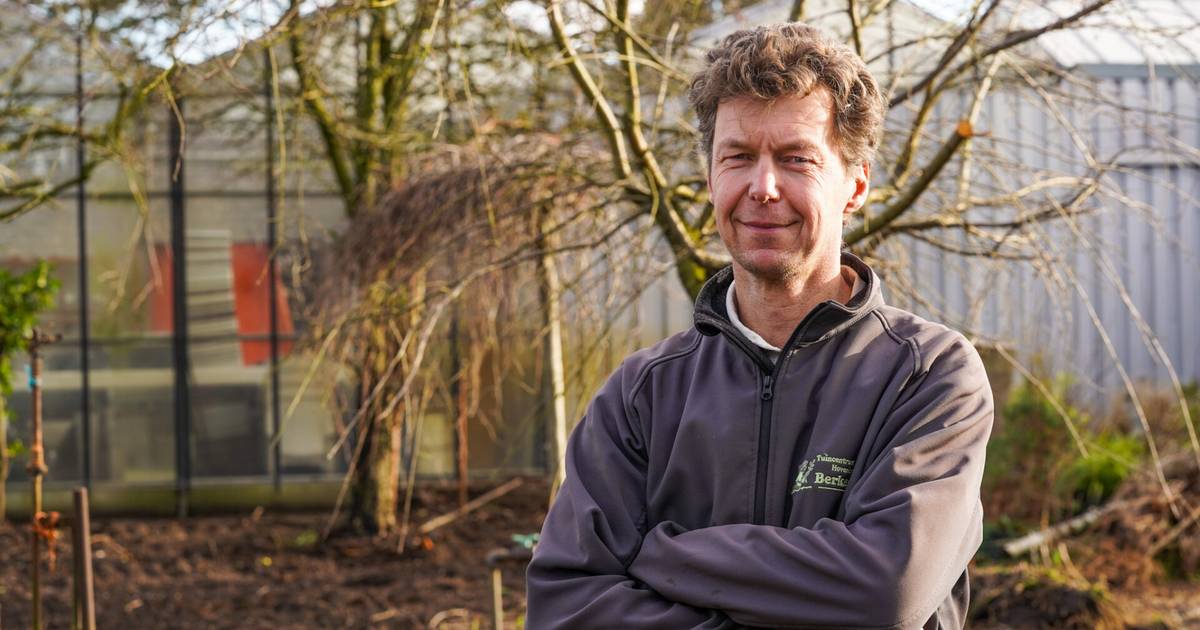 nooit Loodgieter zal ik doen De palm mag blijven, maar tuincentrum Berkenhof in Gastel krijgt nieuwe  smoel | Cranendonck, Heeze-Leende | ed.nl