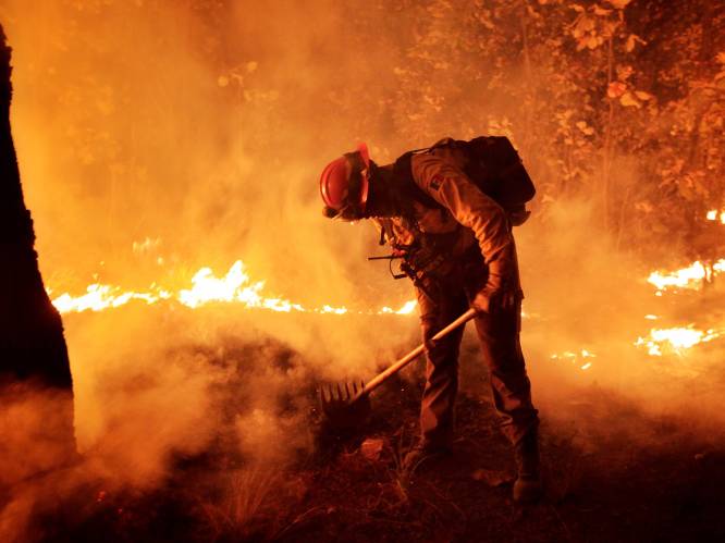 Bosbranden en ‘ergste droogte in 30 jaar’ teisteren Mexico