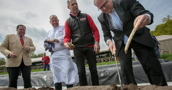 Achttien dagen asperges eten in pop-up restaurant op veld in Cromvoirt - BD.nl