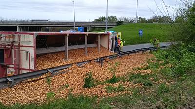 Vrachtwagen met aardappelen kantelt op kluifrotonde N58 in Menen