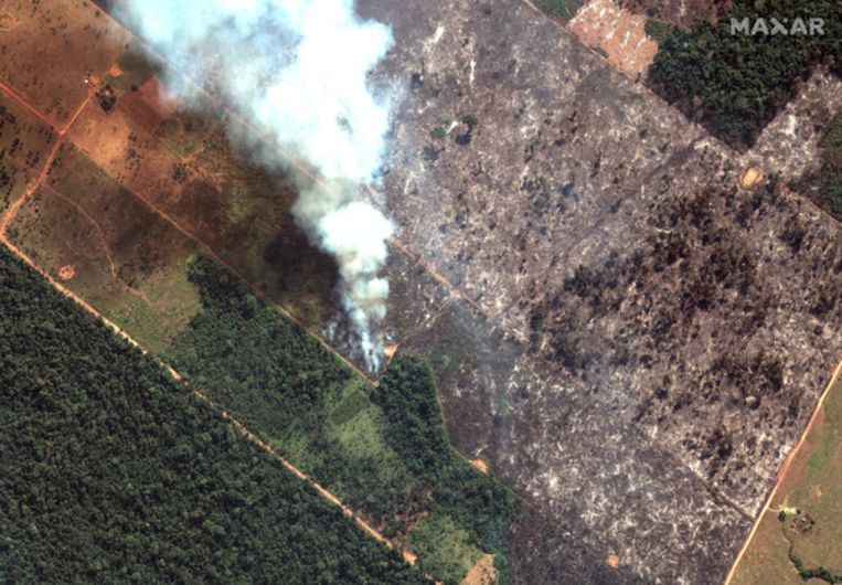 Satellietfoto van bosbranden in Rondônia, het bovenste stroomgebied van de Amazone. Beeld AP