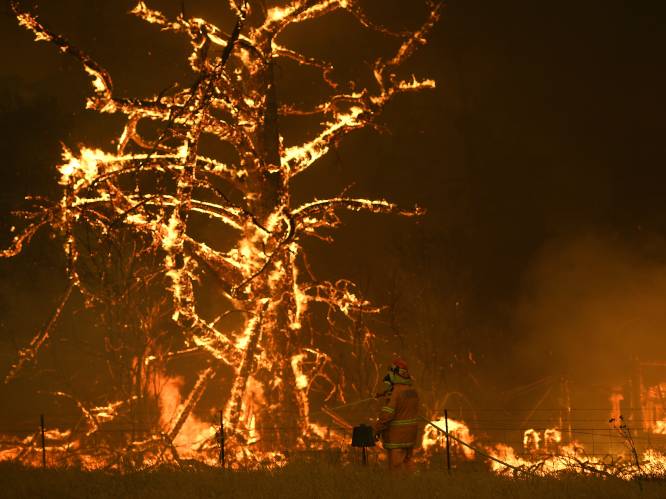 Duizenden vakantiegangers in Australische staat Victoria krijgen evacuatiebevel wegens oprukkende bosbranden