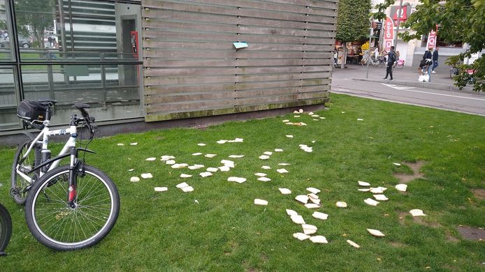De man kreeg een boete voor sluikstort.