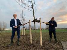 Molenlanden wil 2021 bomen planten en heeft daar de tuinen van inwoners voor nodig