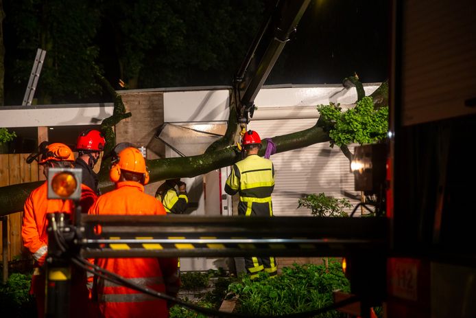 Afgebroken tak zorgt voor schade aan twee woningen in Ossendrecht.