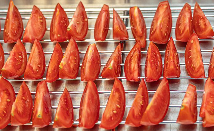 Arjan Vahl is werkbegeleider bij Philadelphia, een zorgorganisatie voor mensen met een afstand tot de arbeidsmarkt. Hij bedacht om ‘zon’gedroogde tomaten uit de IJsseldelta op de markt te brengen als ‘Met zorg gedroogde tomaten’.