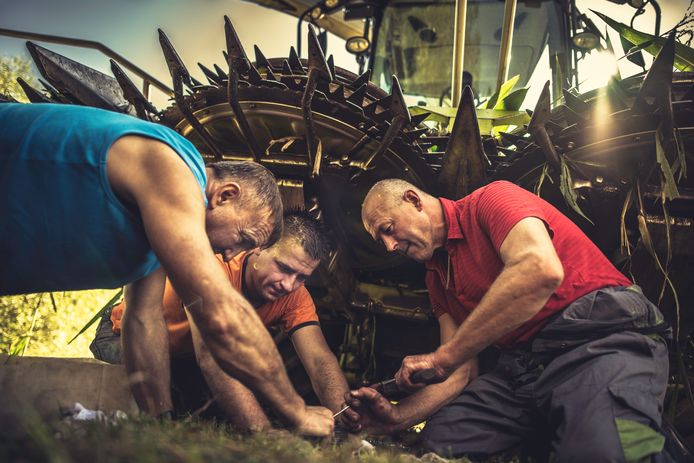 Boeren beschikken vaak over kwaliteiten die ze speciaal maakt voor de arbeidsmarkt.