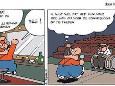 Mening | De cartoon over de Zonnebloem berust op leugens
