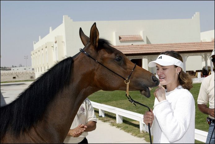 Hingis reed al eens graag te paard. In 1997 liep ze daardoor een blessure op waardoor ze enkele maanden aan de kant stond.