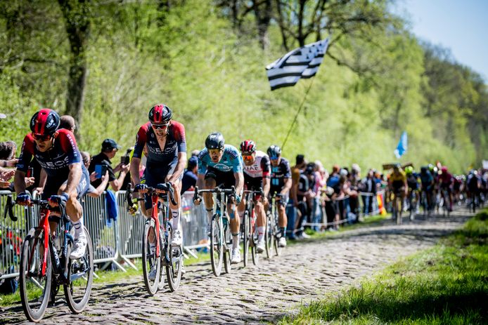 Het peloton dokkert over de kasseien van het gevreesde Bos van Wallers tijdens de editie van vorig jaar.