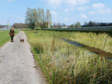 Zonnepark van vijf hectare bij Weihoek, energie voor 1.500 huishoudens