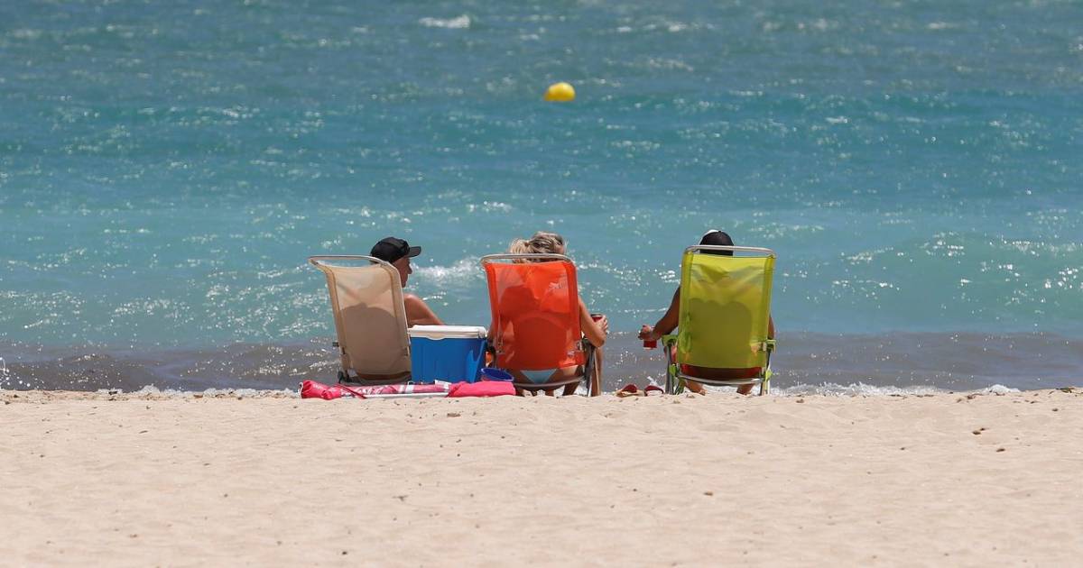 The Dutch are Europe’s most fanatical winter visitors: especially Ibiza, Malaga and Valencia are turning orange |  outside