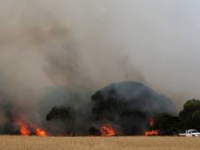 Un pompier australien meurt en combattant un incendie