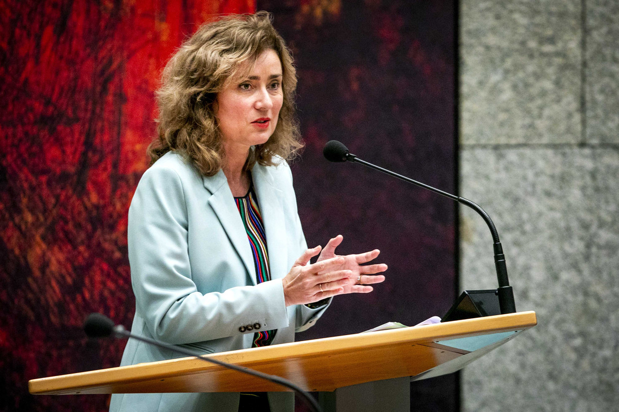 Vera Bergkamp (D66) in de Tweede Kamer.  Beeld ANP - Remco de Waal
