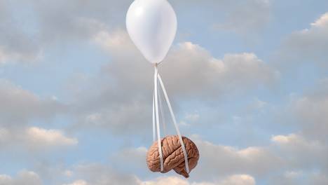 Ons wonderlijke geheugen: 6 brain facts om te onthouden