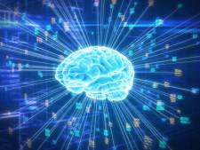 Een computer wint het van de mens bij ingewikkelde berekeningen, maar ons brein is veel efficiënter