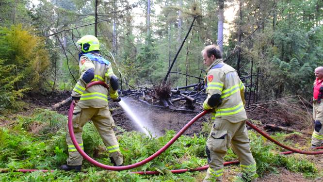 Brandweer rukt met veel materieel uit voor brand in natuurgebied bij Ede