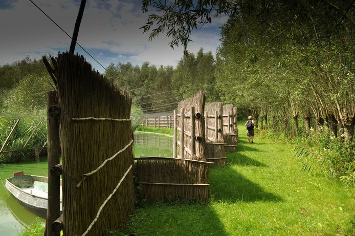 Breng een bezoek aan de eeuwenoude Eendenkooi de Hofmansplaat.