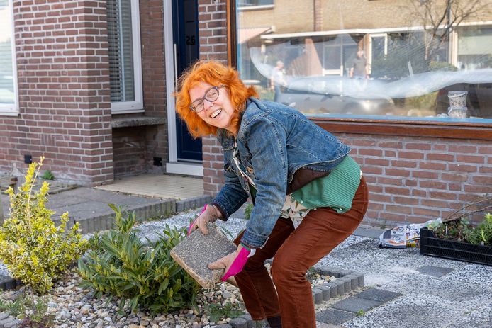 Dordrecht doet mee aan het NK Tegelwippen.