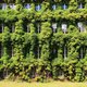 Opinie: ‘Het verduurzamen van woningen vraagt om innovatie’